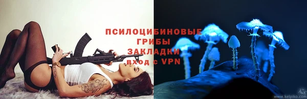 соль ск Абаза