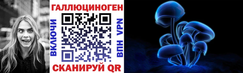 Галлюциногенные грибы Cubensis площадка Telegram Ядрин